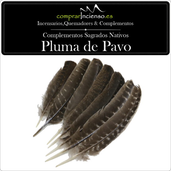 Pluma Pavo Doméstico - Caída Natural
