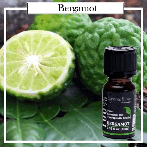 Aceite Esencial Puro 100% Natural Therapeutic Bergamota