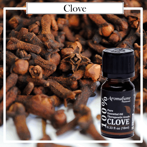 Aceite Esencial Puro 100% Natural Therapeutic Clavo