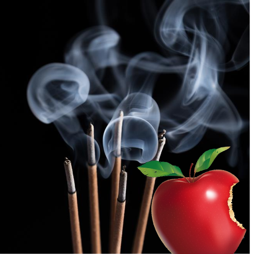 Inciensos Afrodisiacos con feromonas 100 % naturales, especiales POR SU CALIDAD, por su variedad aromática, por su duración olfativa. TE SORPRENDERAN.