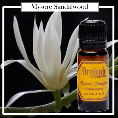 Aceite Esencial 100% Natural Organic Mysore Chandan