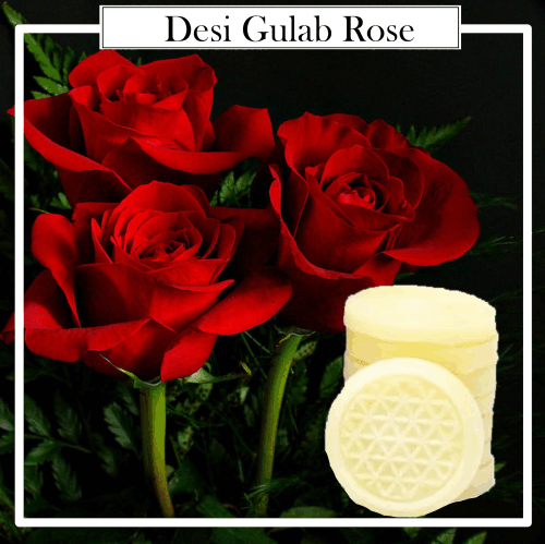 Cera Aromática 100% Natural Organic Rosa Desi Gulab