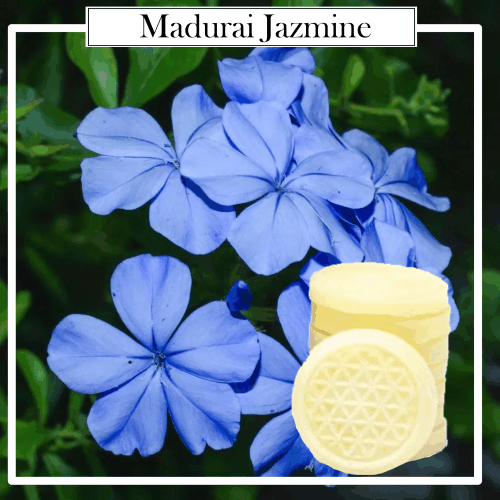 Cera Aromática 100% Natural Organic Jazmín Madurai