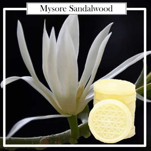 Cera Aromática 100% Natural Organic Mysore Chandan