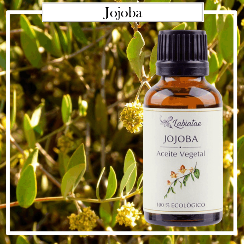 Aceites Bio, 100% ecológico, aceites concentrados obtenido por primera presión en frío para beneficiarnos de su valor nutritivo completo.