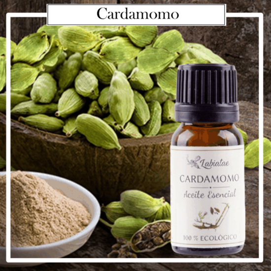 Aceite esencial 100% puro y ecológico de Cardamomo (Elettaria cardamomum). La concentración de las esencias extraídas de la madre naturaleza.