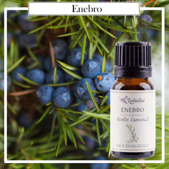 Aceite Natural Puro 100% Bio Ecológico Enebro (Juniperus communis). La concentración de las esencias extraídas de la madre naturaleza.