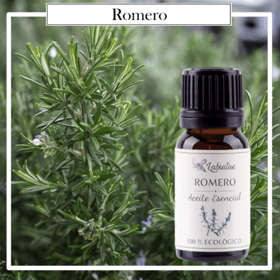 Aceite Natural Puro 100% Bio Ecológico Romero (Rosmarinus officinalis). La concentración de las esencias extraídas de la madre naturaleza.
